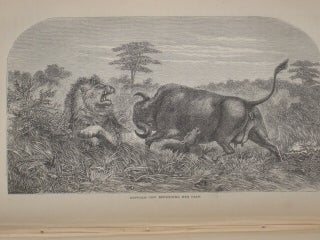 Item #0705 MISSIONARY TRAVELS AND RESEARCHES IN SOUTH AFRICA. David and Charles Livingstone