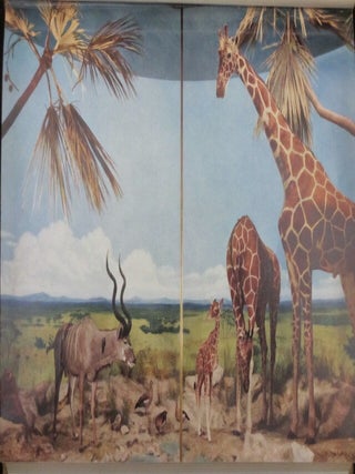 Rowland Ward's Records of Big Game. XIth Edition (Africa) Antelope Skin Binding.