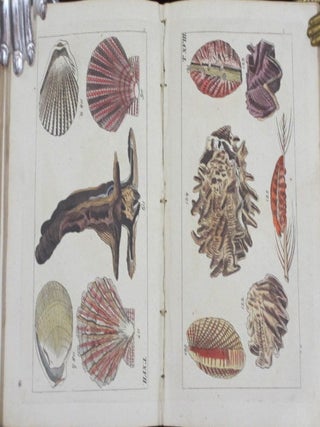 Unterhaltungen Aus Der Naturgeschichte.. With 106 Hand Colored Plates