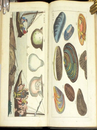 Unterhaltungen Aus Der Naturgeschichte.. With 106 Hand Colored Plates