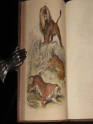 The Animal Kingdom, Forming a Natural History of Animals, and an Introduction to Comparative Anatomy. A New Edition