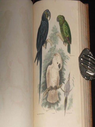The Animal Kingdom, Forming a Natural History of Animals, and an Introduction to Comparative Anatomy. A New Edition
