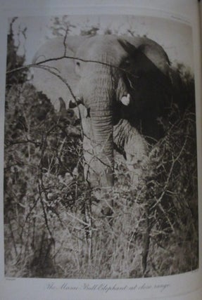 Stalking Big Game With A Camera in Equatorial Africa (Signed, Limited Edition)