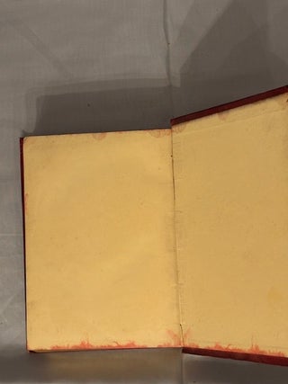 The Begum's Fortune