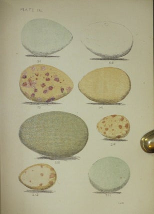 EGGS OF NORTH AMERICAN BIRDS
