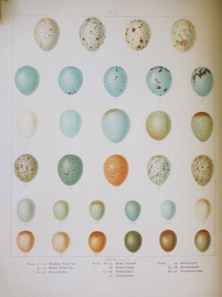 BRITISH BIRDS WITH THEIR NESTS AND EGGS