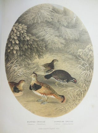 Item #3764 THE SPORTSMAN AND NATURALIST IN CANADA or, Notes on the Natural History of the Game,...