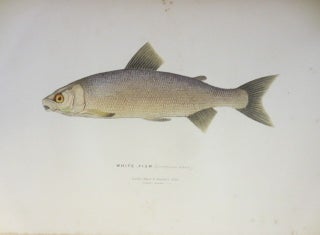 THE SPORTSMAN AND NATURALIST IN CANADA or, Notes on the Natural History of the Game, Game Birds, and Fish of That Country