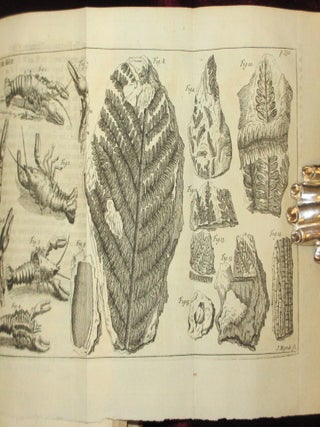 THE PHILOSOPHICAL HISTORY AND MEMOIRS OF THE ROYAL ACADEMY OF SCIENCES AT PARIS.