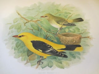 BIRDS OF GREAT BRITAIN AND IRELAND Order Passeres,