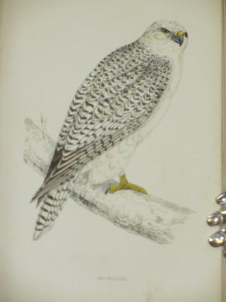A HISTORY OF BRITISH BIRDS