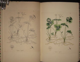 Item #7583 Jacob Bigelow's American Medical Botany 1817 - 1821. An Examination of the Origin,...